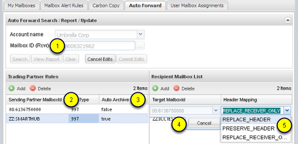 Interface elements specific to the Auto Forward Tab